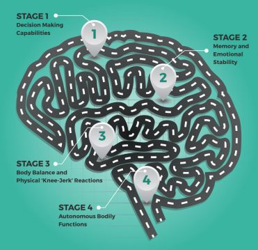 Drink driving – the effects of alcohol on your brain and body explained ...