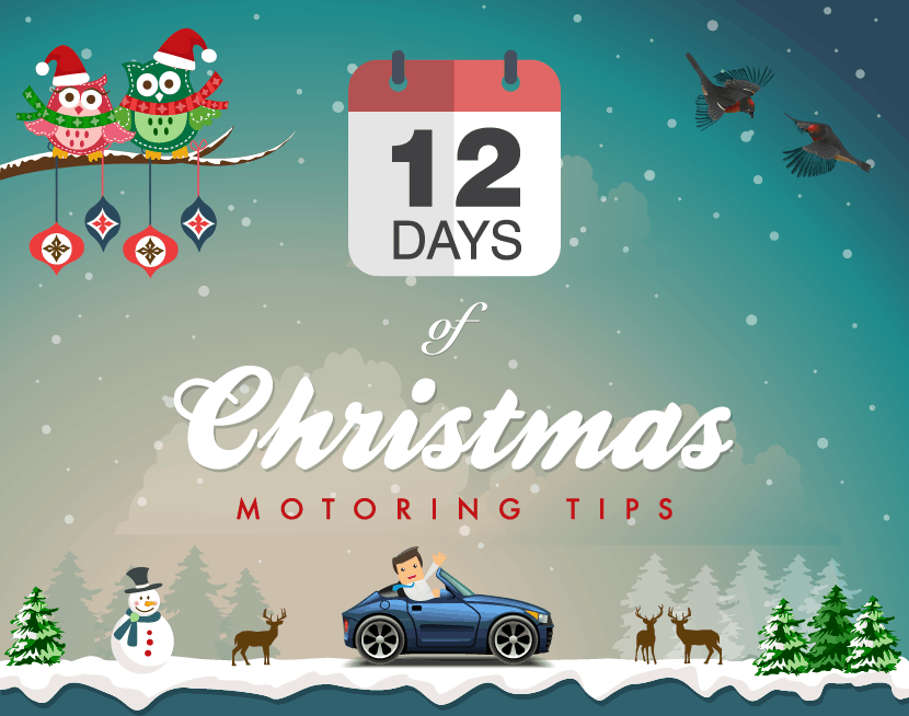 12-days-of-christmas