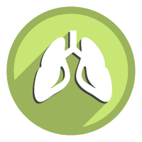 lungs