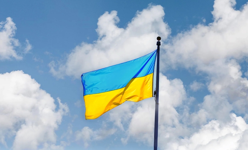 Ukrainian driving licence