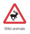 animals